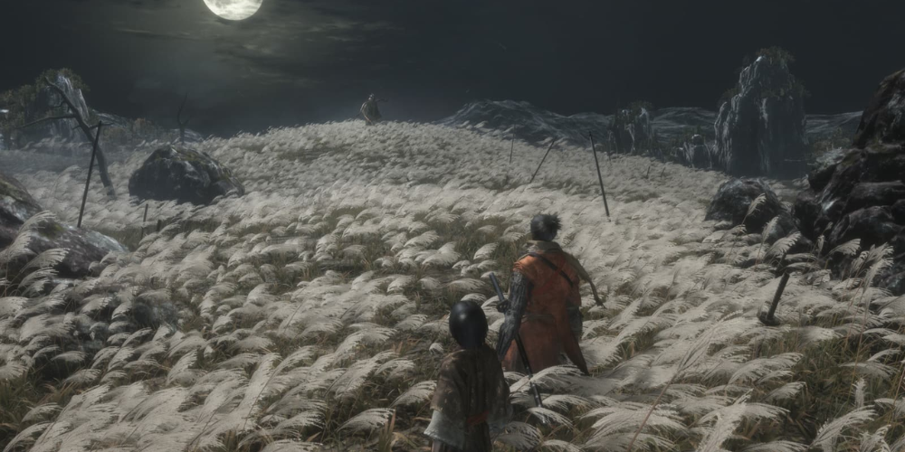 Sekiro Shadows Die Twice video game